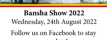 Flyer for Bansha show