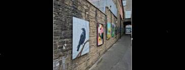 Paintings on wall