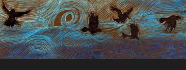 image of birds