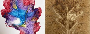 Image of leaf