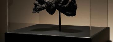 image of skulls 