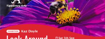 Image of a Bee on a flower