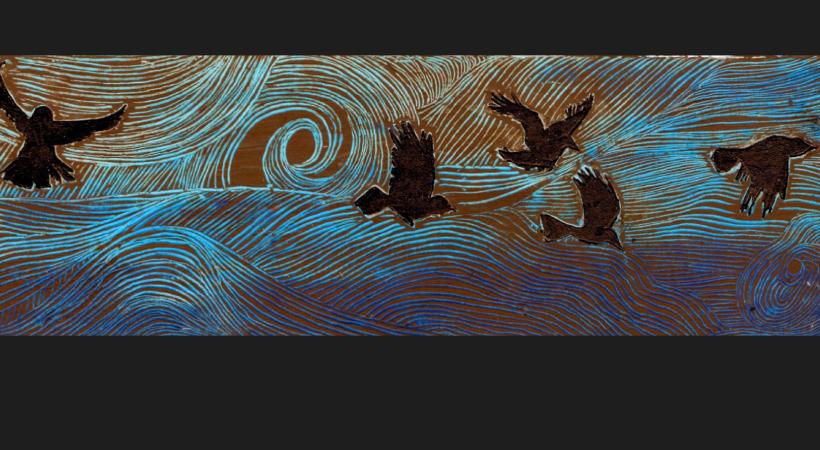 image of birds