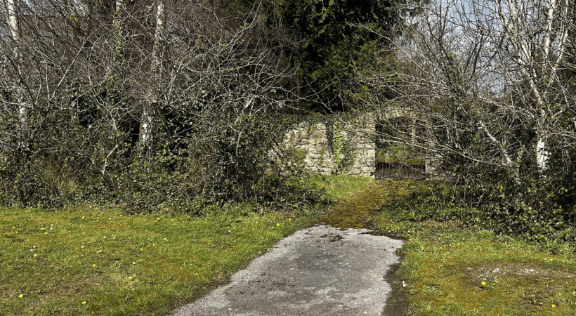 image of a path