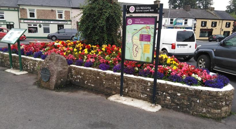 Map beside a flower bed