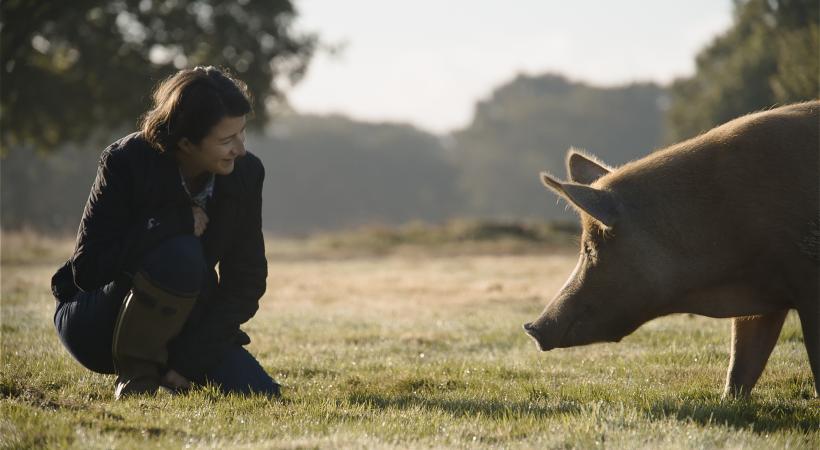 women and an animal